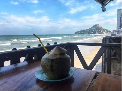 2022年 出境游曙光初現，國內旅游迎來新機遇